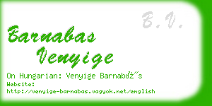 barnabas venyige business card